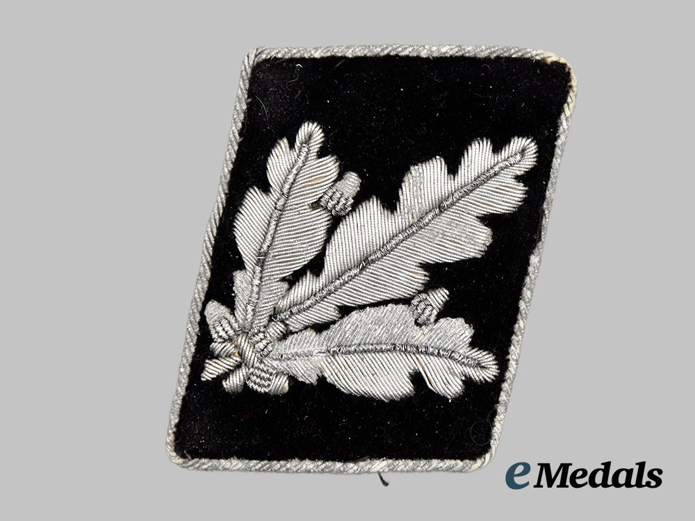 germany,_s_s._a_waffen-_s_s_brigadeführer_collar_tab___m_n_c0084