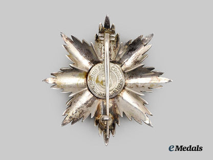 italy,_kingdom._a_cased_order_of_st._maurice_and_st._lazarus,_grand_cross_breast_star,_c.1900_by_cravanzola_of_rome___m_n_c0293