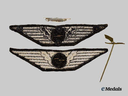 germany,_third_reich._a_lot_of_wiener_neustädter_flugzeugwerke_employee_insignia___m_n_c0706