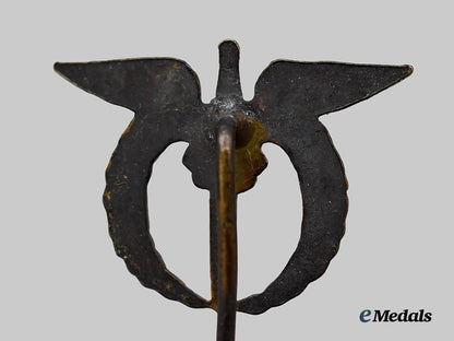 czechoslovakia,_i_republic._an_air_force_pilot_badge_with_stickpin,_c.1938___m_n_c0742