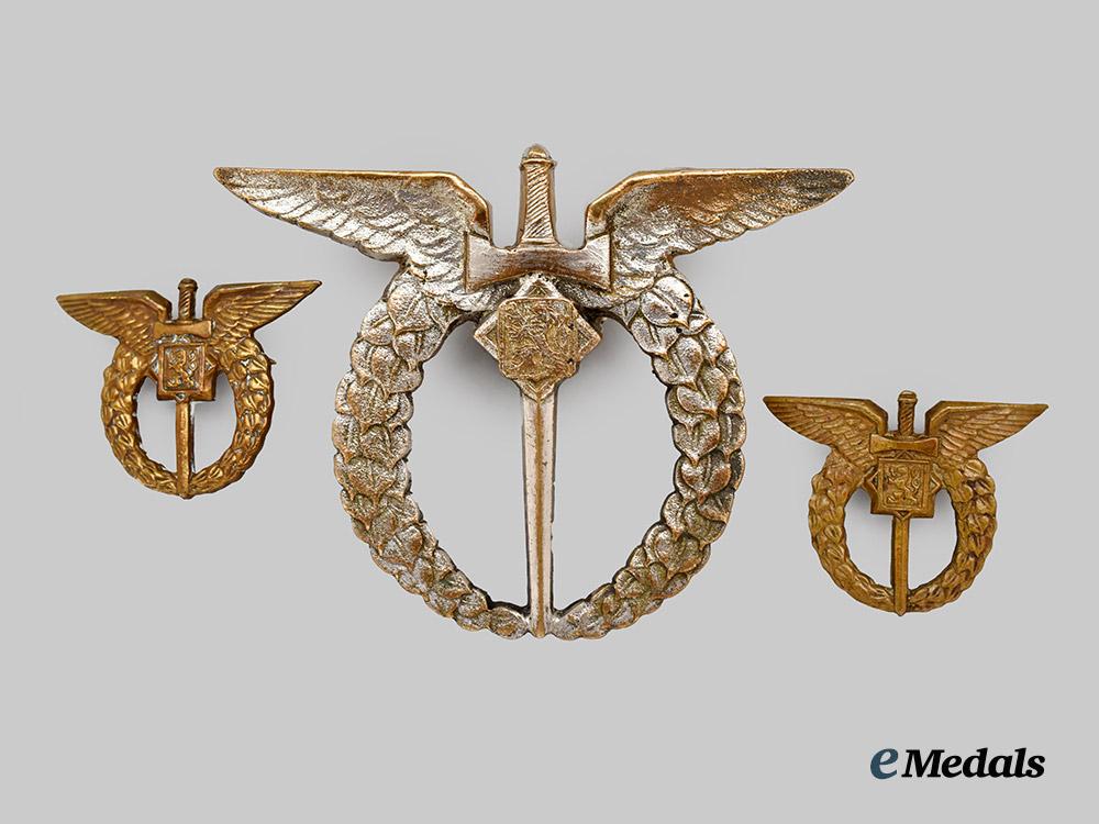 czechoslovakia,_i_republic._a_pilot_badge_with_collar_insignia,_c.1935___m_n_c0807