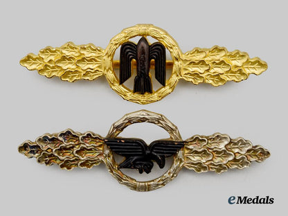 germany,_federal_republic._a_pair_of_luftwaffe_clasps,1957_versions___m_n_c0882