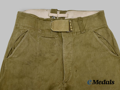 germany,_heer._a_pair_of_tropical_wehrmacht_field_service_breeches___m_n_c1049