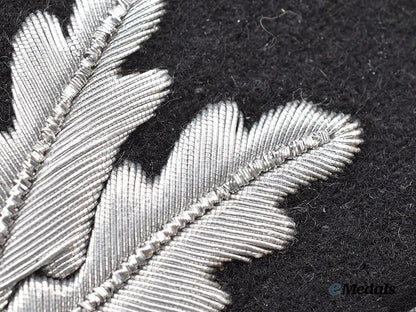 germany,_s_s._a_rare_and_mint_set_of_s_s-_brigadeführer_collar_tabs,_first_pattern___m_n_c1093