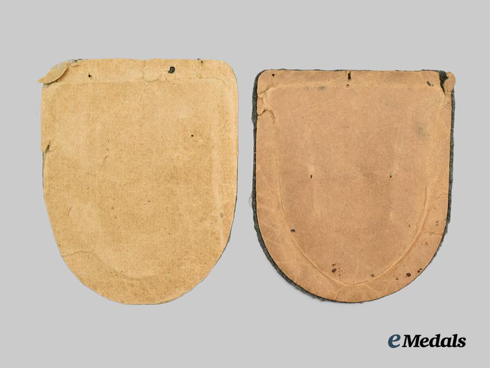 germany,_heer._a_pair_of_eastern_front_campaign_shields___m_n_c1196