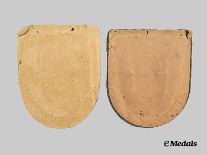 germany,_heer._a_pair_of_eastern_front_campaign_shields___m_n_c1196