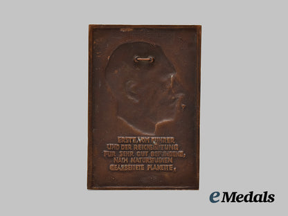 germany,_third_reich._a_mixed_lot_of_patriotic_plaques___m_n_c1344