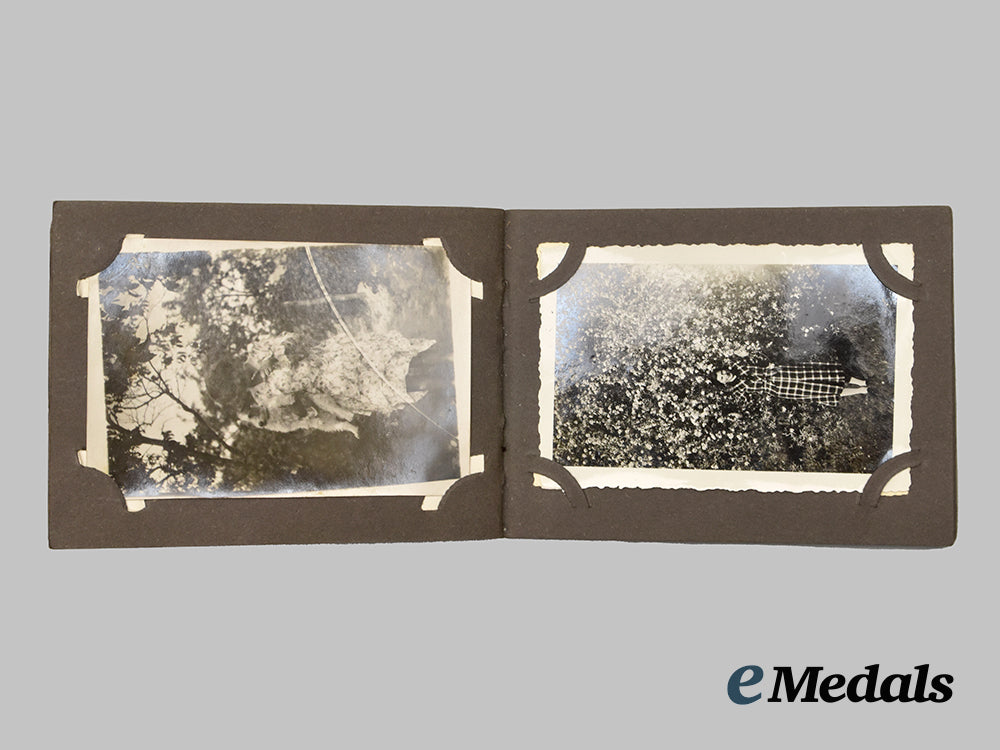 germany,_third_reich._a_mixed_lot_of_insignia_and_photographs___m_n_c1375