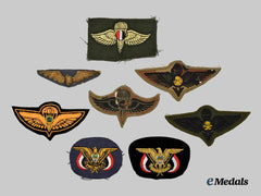 International. A Lot of Insignia
