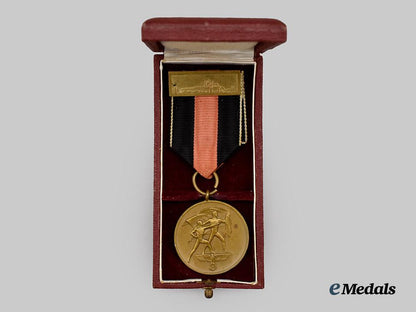 germany,_third_reich._a_sudetenland_medal,_with_prague_castle_bar_and_case___m_n_c2173