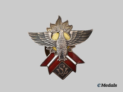 latvia,_first_republic._a_latvijas_vanagi(_latvian_hawks)_member’s_badge___m_n_c2315