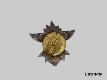 latvia,_first_republic._a_latvijas_vanagi(_latvian_hawks)_member’s_badge___m_n_c2316