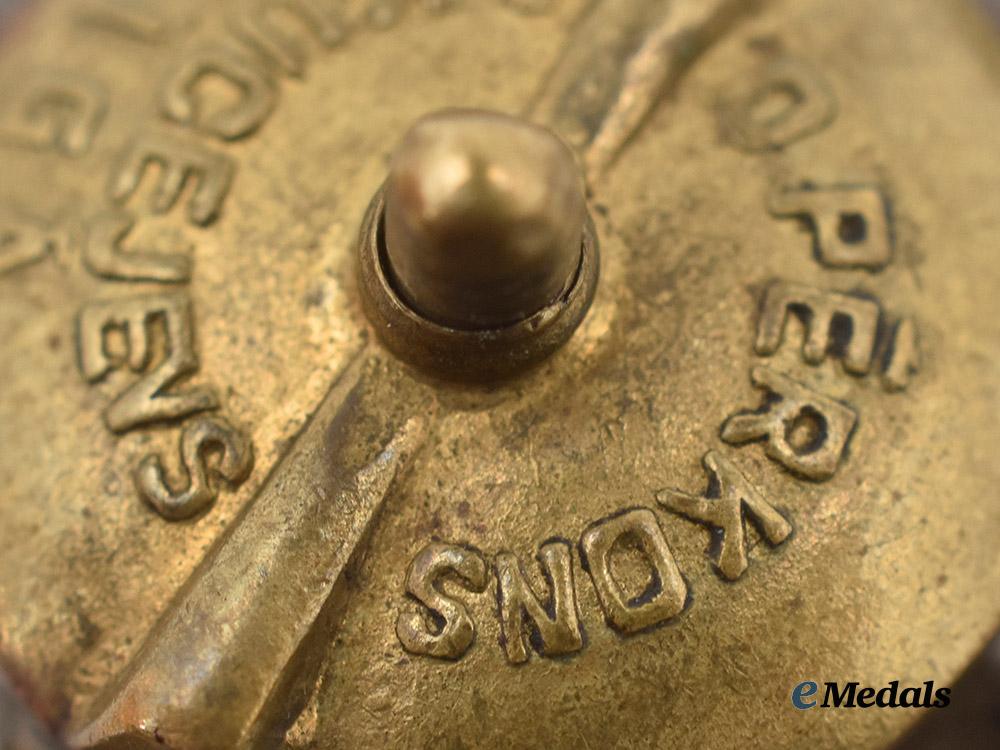 latvia,_first_republic._a_latvijas_vanagi(_latvian_hawks)_member’s_badge___m_n_c2318