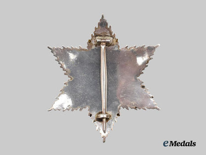 germany,_third_reich._an_order_of_the_german_eagle,_i_i_class_breast_star,_spanish-_made_variant_c.1965___m_n_c2565