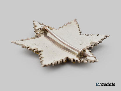 germany,_third_reich._an_order_of_the_german_eagle,_i_i_class_breast_star,_spanish-_made_variant_c.1965___m_n_c2566