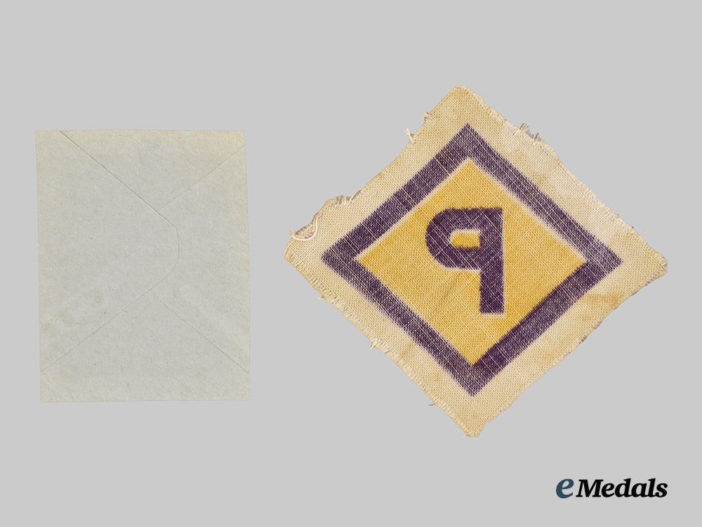 germany,_third_reich._a_polish_civilian_worker_insignia___m_n_c2677