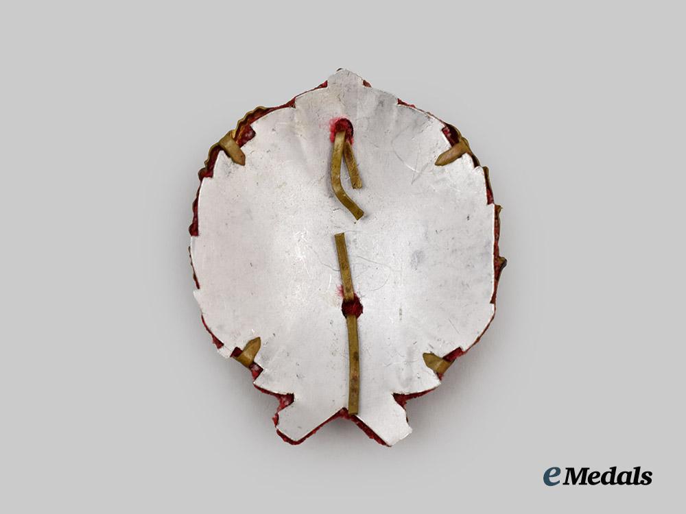 yugoslavia,_kingdom._a_second_war_officer’s_cap_badge___m_n_c2788