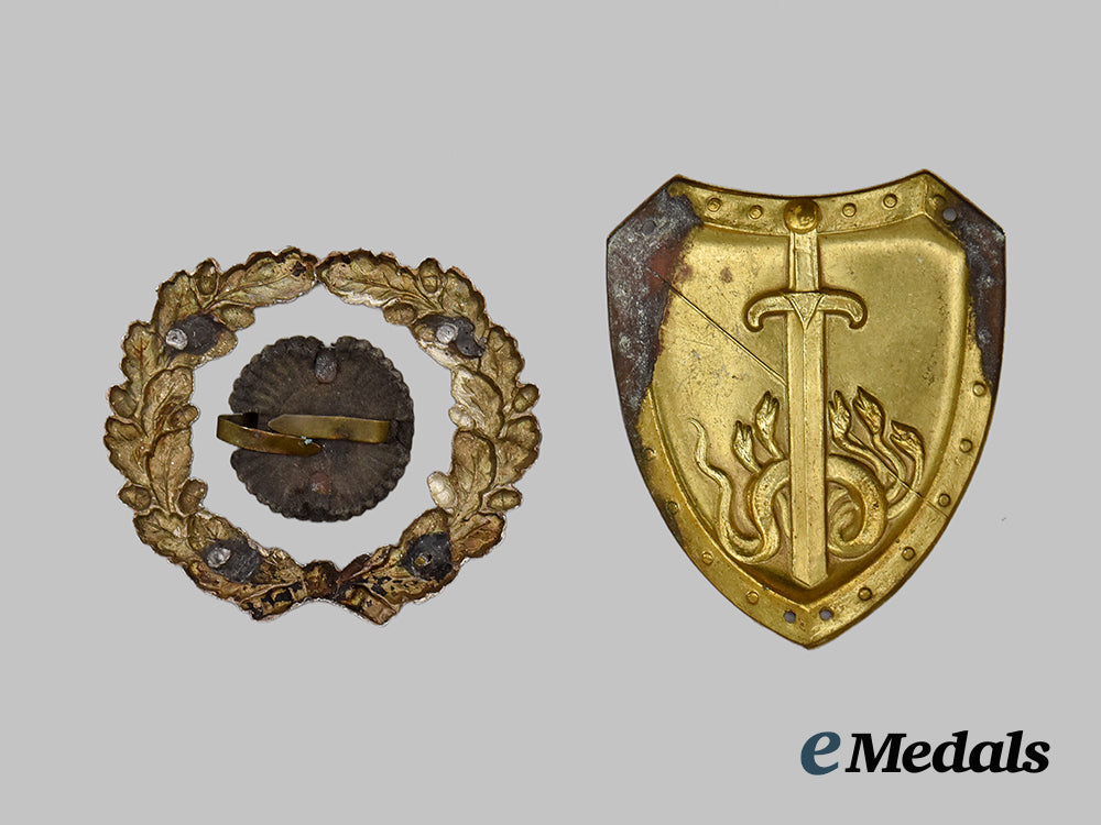 germany,_weimar_republic._a_lot_of_freikorps_paper_items_and_insignia___m_n_c3539