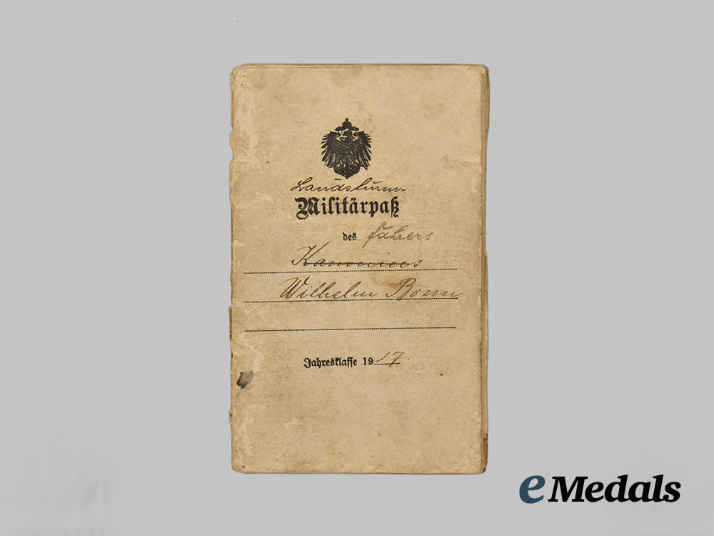 germany,_weimar_republic._a_lot_of_freikorps_paper_items_and_insignia___m_n_c3540