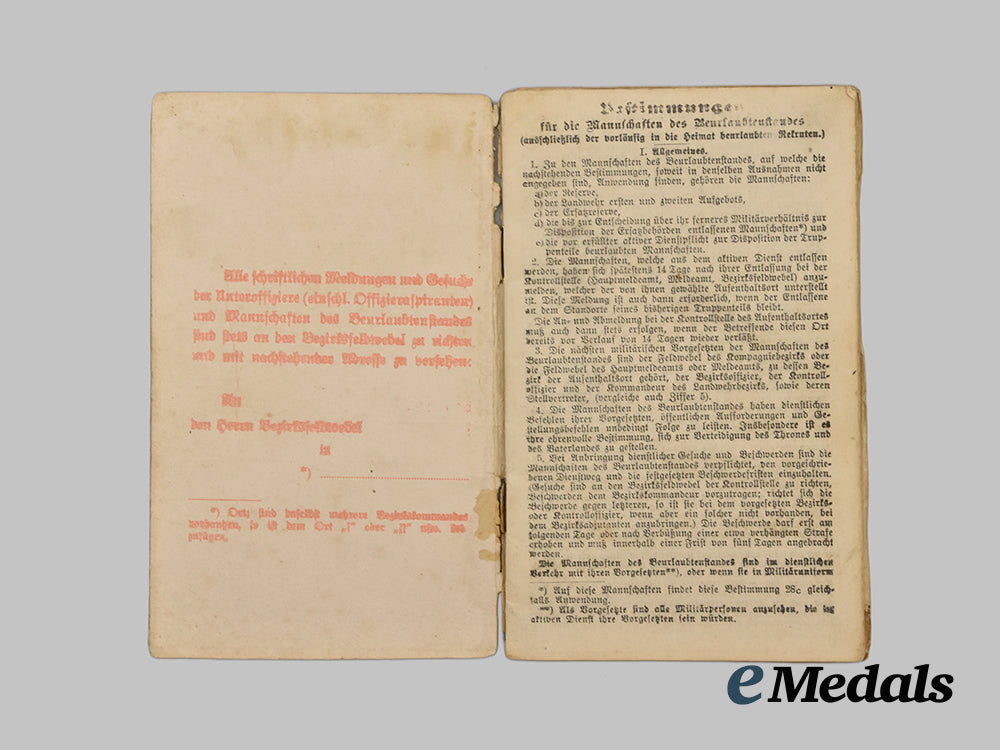 germany,_weimar_republic._a_lot_of_freikorps_paper_items_and_insignia___m_n_c3541