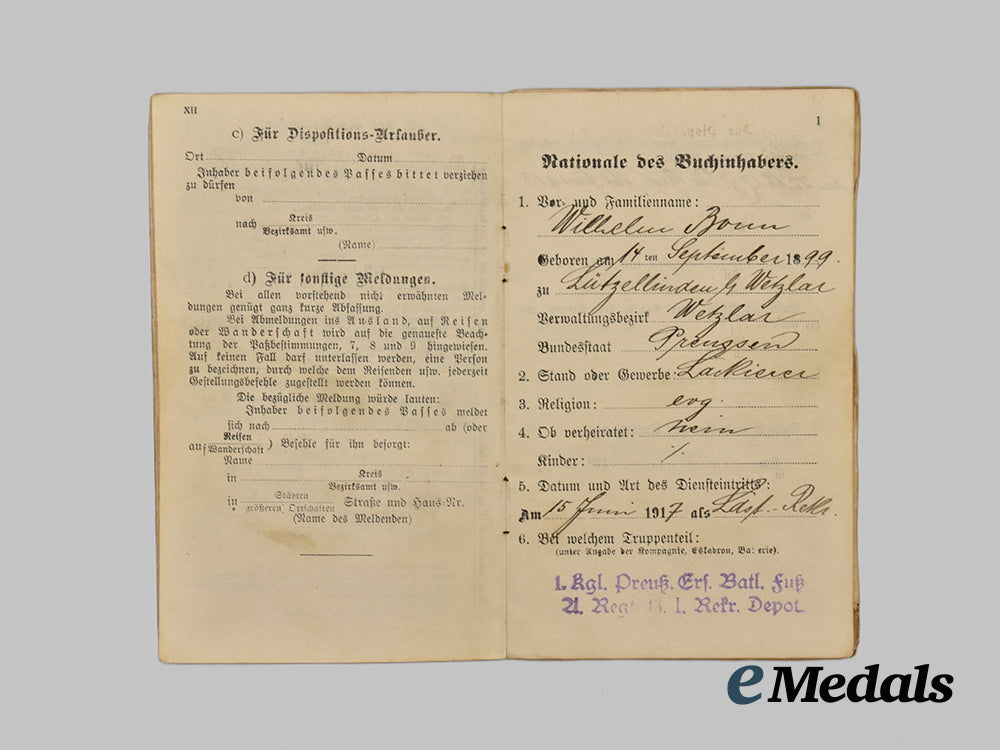 germany,_weimar_republic._a_lot_of_freikorps_paper_items_and_insignia___m_n_c3542