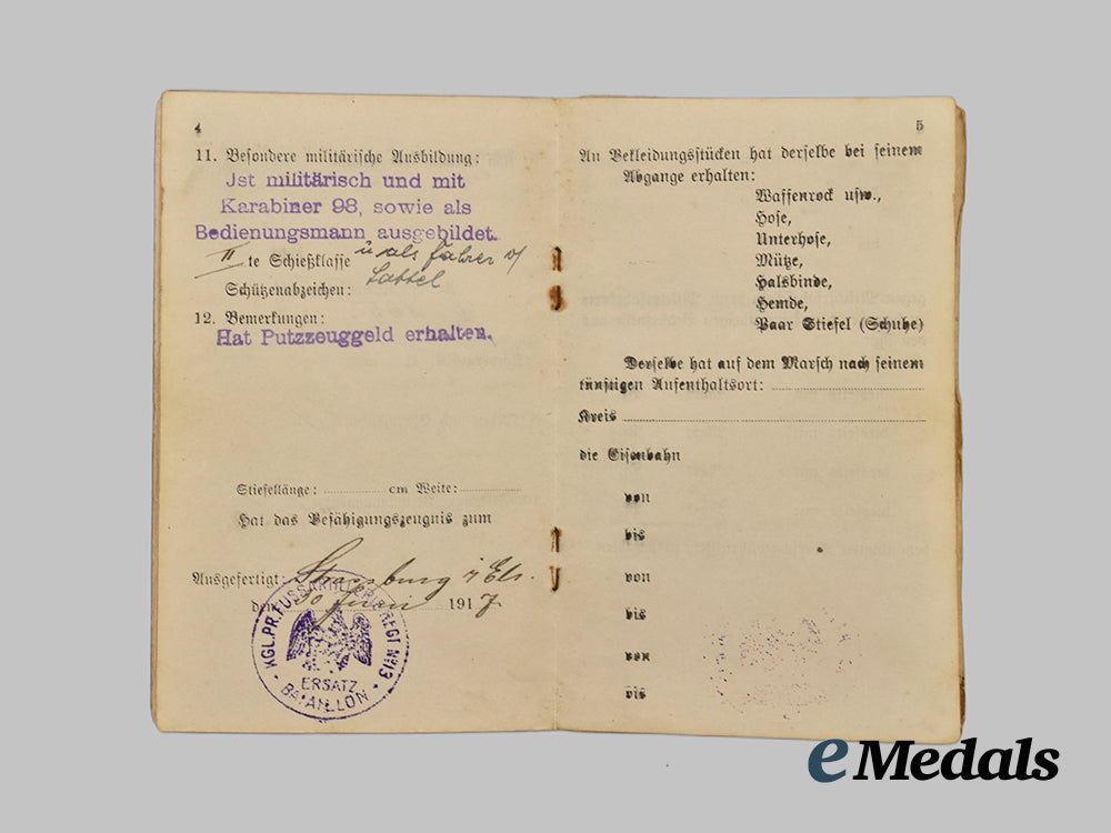 germany,_weimar_republic._a_lot_of_freikorps_paper_items_and_insignia___m_n_c3544