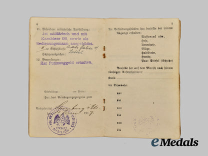 germany,_weimar_republic._a_lot_of_freikorps_paper_items_and_insignia___m_n_c3544