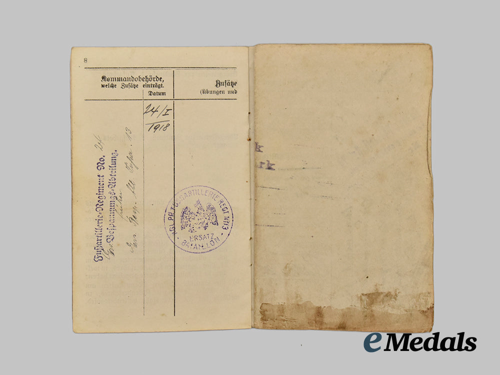 germany,_weimar_republic._a_lot_of_freikorps_paper_items_and_insignia___m_n_c3545