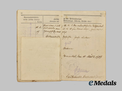 germany,_weimar_republic._a_lot_of_freikorps_paper_items_and_insignia___m_n_c3548