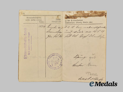 germany,_weimar_republic._a_lot_of_freikorps_paper_items_and_insignia___m_n_c3551