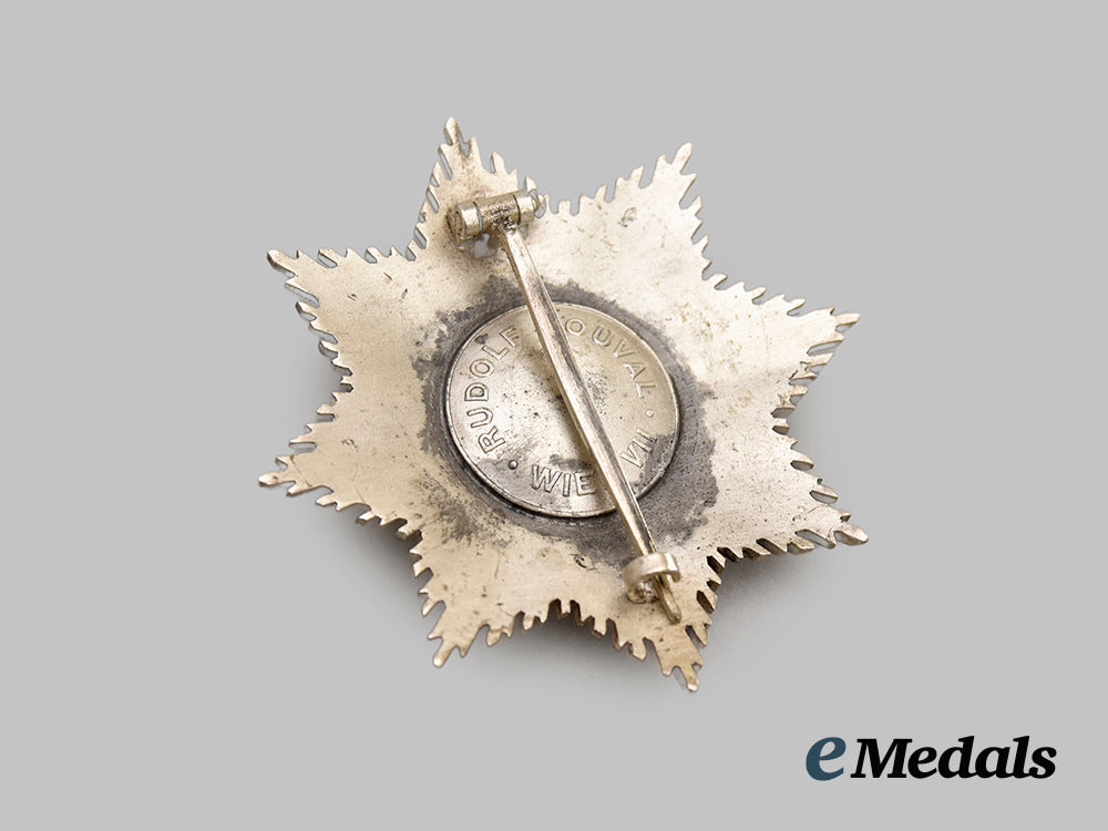 germany,_wehrmacht._an_azad_hind_order,_i_class_star,_by_rudolf_souval___m_n_c3838