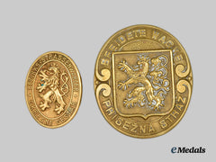 Czechoslovakia, Republic.  A Pair of Badges