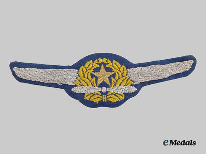 japan,_empire._an_army_air_force_pilot_badge___m_n_c4137