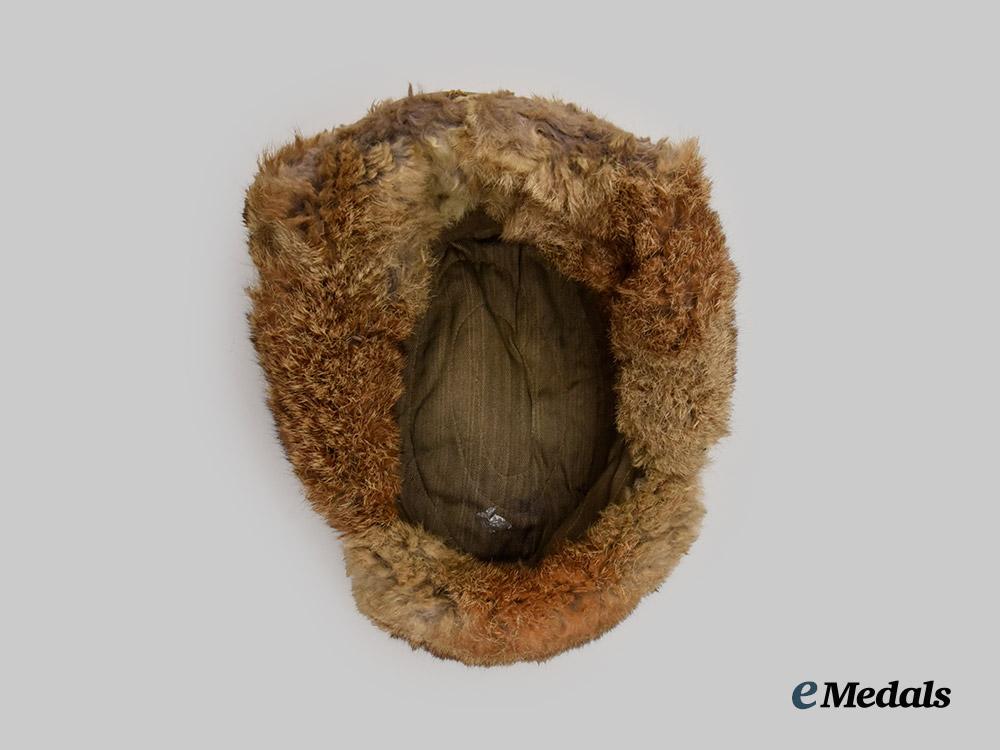 germany,_heer._a_winter_field_cap___m_n_c4409