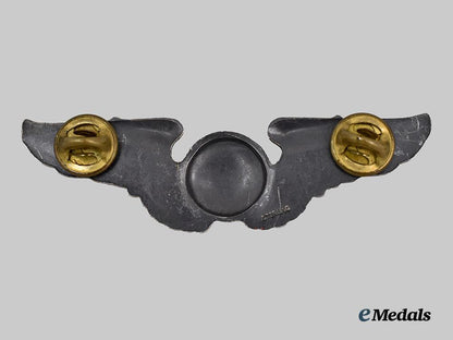 united_states._an_air_force_aircrew_badge___m_n_c4491