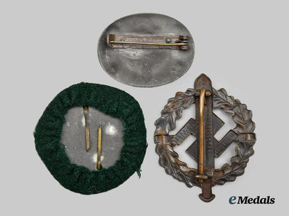germany,_third_reich._a_lot_of_three_awards_and_badges___m_n_c4534