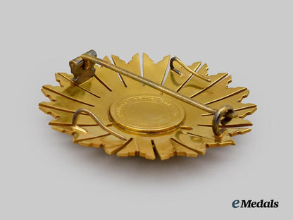 peru._an_order_of_the_peruvian_sun,_i_class_breast_star,_in_case___m_n_c4614