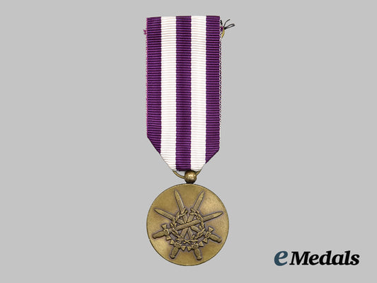 netherlands,_kingdom._a_kosovo_medal,2000.___m_n_c4664