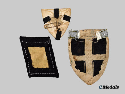 germany,_freikorps._a_pair_of_grenzschutz_ost_arm_insignia___m_n_c4915-_recovered