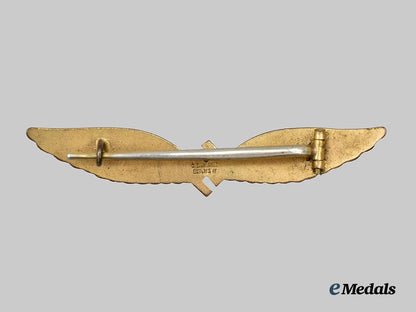 germany,_third_reich._a_rare_civil_pilot’s_badge,_by_c._e._juncker___m_n_c5007