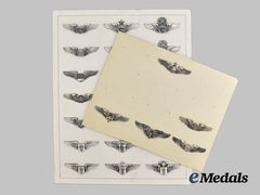 United States. A Lot of Twenty-Six United States Air Force Wings