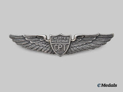 United States. A Pair of CPT Wings, by Danecraft