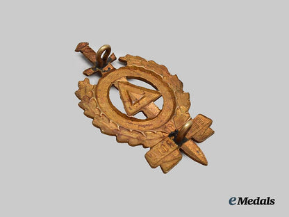 belgium,_v_n_v._a_rare_merit_award___m_n_c5716