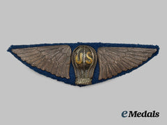 United States. A Unique Military Aeronaut Wing, c.1919