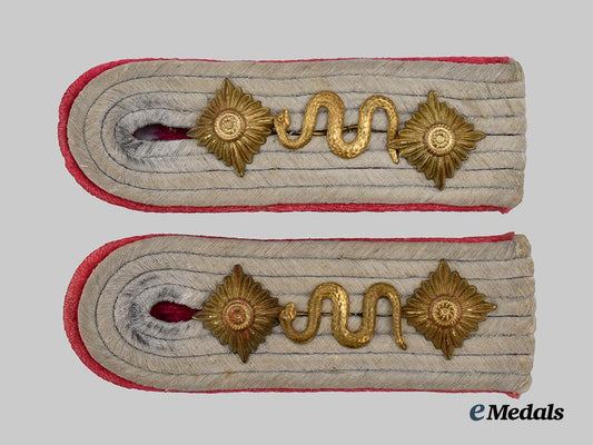germany,_heer._a_set_of_veterinary_hauptmann_shoulder_boards___m_n_c6459