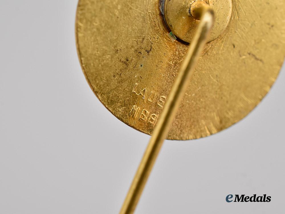 germany,_third_reich._a_lot_of_award_and_membership_badge_stick_pin_miniatures___m_n_c6462