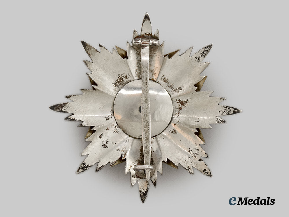 italy._a_military_order_of_st._savior_and_st._bridget_cross,_knight_grand_cross.___m_n_c6567