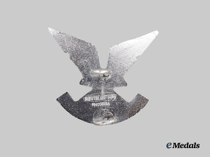 rhodesia,_republic._a_selous_scouts_cap_badge,_second_pattern,_by_reuteler___m_n_c6737