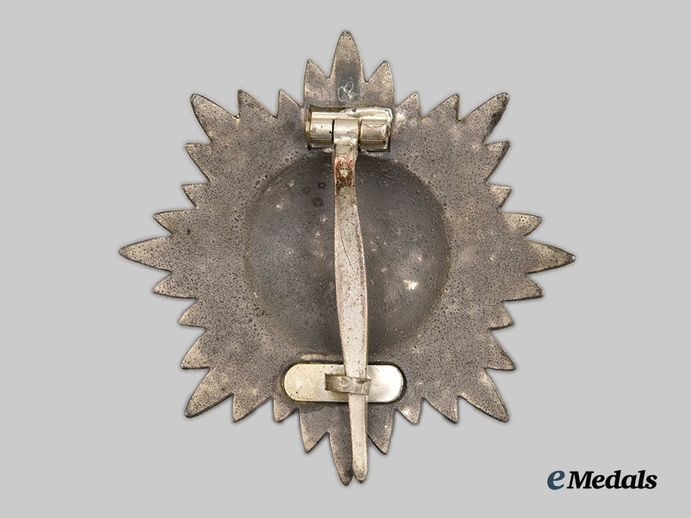 germany,_wehrmacht._an_eastern_peoples_merit_decoration,_i_class_in_silver,_by_wächtler&_lange___m_n_c6871