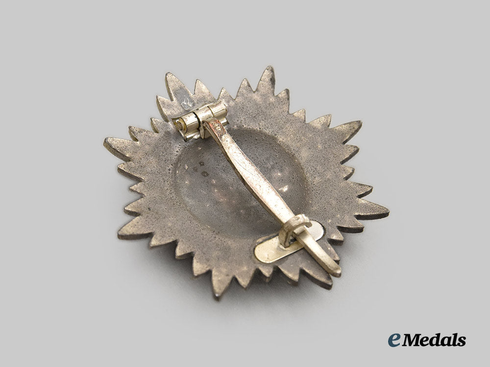 germany,_wehrmacht._an_eastern_peoples_merit_decoration,_i_class_in_silver,_by_wächtler&_lange___m_n_c6873